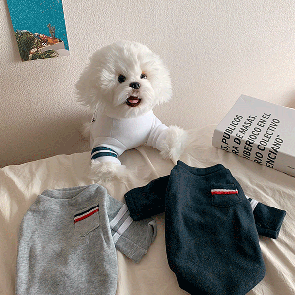강아지옷 두줄라인 포켓 티셔츠 S-XL